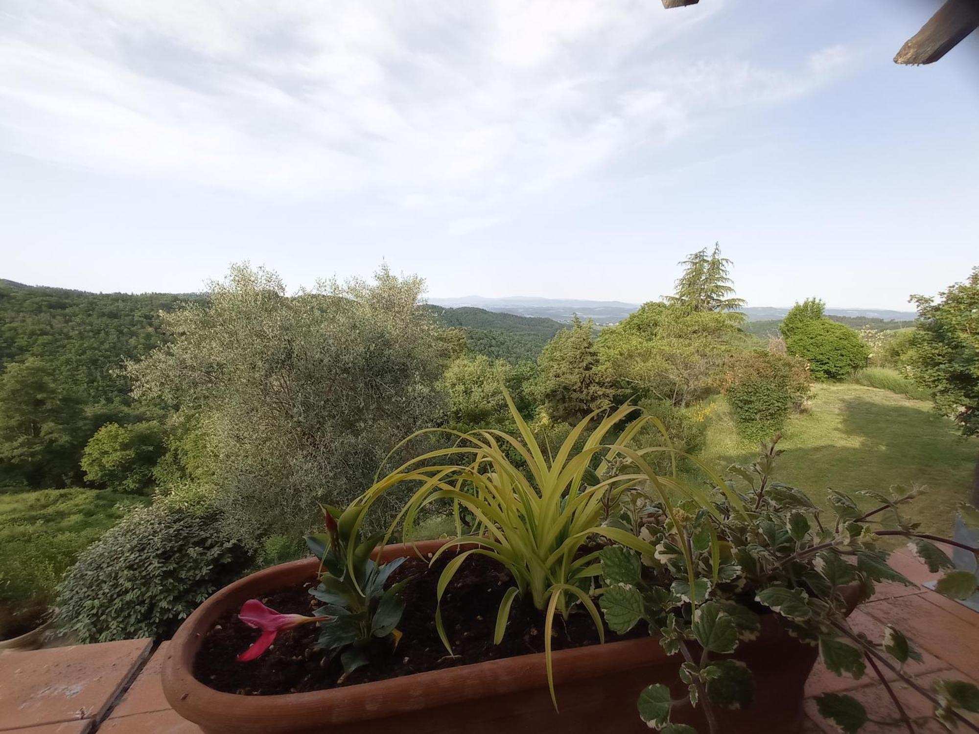 Podere L'Aquila Gaiole in Chianti Rum bild